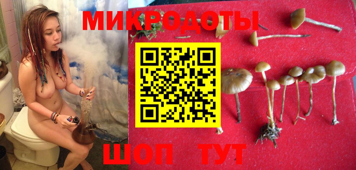 Псилоцибиновые грибы мухоморы Зеленодольск